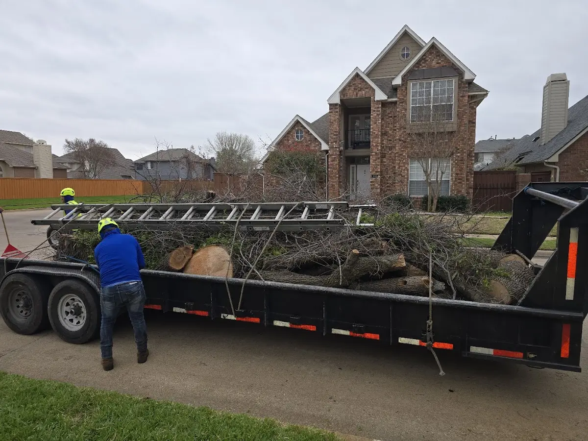 Expert Tree Pest Control with proper safety equipment in Ellisburg
